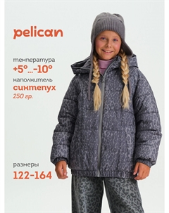 Куртка Pelican