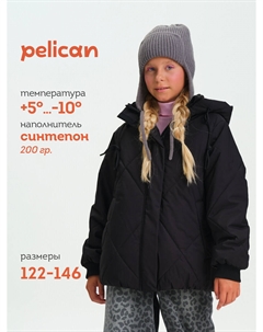 Куртка Pelican