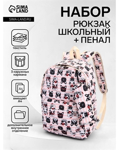 Набор: рюкзак школьный и пенал, с карманами, в полоску, размер 29×12×41 см, розовый Nobrand