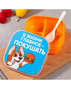 Ланч - бокс квадратный с секциями Foodvibes