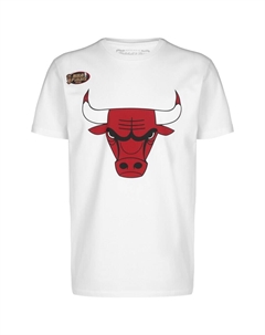 Рубашка NBA Chicago Bulls Team, белый Mitchell and ness