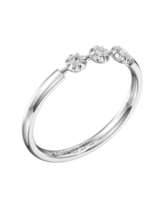 Кольцо Serendipity