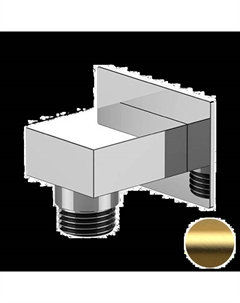 Шланговое подключение 309WBG цвет Золото брашированное Remer