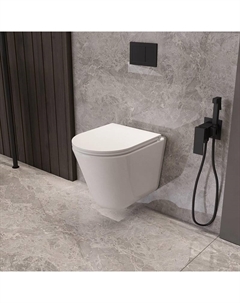 Унитаз Vito VT1-23T подвесной цвет Белый с сиденьем Vincea