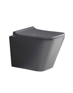 Подвесной унитаз WW GELBACH 041 MT-GR безободковый, с сиденьем микролифт, серый глянец Weltwasser