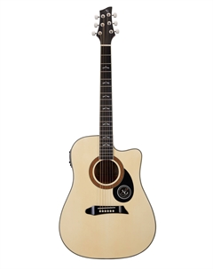 Акустические гитары GT600-E NA Ng