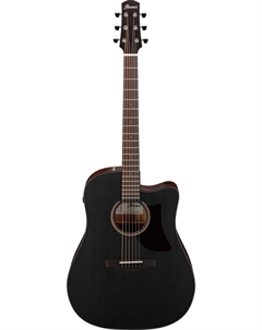 Акустические гитары AAD190CE-WKH Ibanez