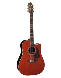 Акустические гитары PRO SERIES P5DC WB Takamine