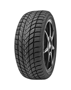 Зимние шины Delinte Winter WD6 195/45 R16 84H