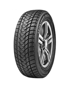 Зимние шины Delinte Winter WD1 245/50 R18 100H