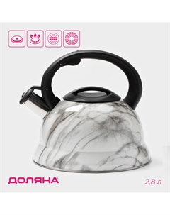 Чайник со свистком из нержавеющей стали Доляна