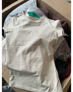 GS Футболка Beige SAMPLE Fable