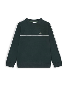 Мальчиковый логотипный свитшот с контрастной тесьмой - для малышей и детей постарше, зеленый Lacoste