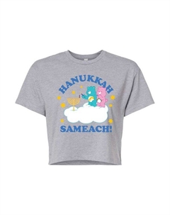 Детская футболка с коротким рукавом Care Bears "Ханука Самеах", серый Licensed character