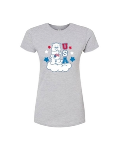 Детская футболка Care Bears USA с принтом, серый Licensed character