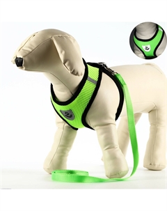 Шлейка с поводком, размер m, ош 26 см, ог 36-44 см, с светоотражающей нашивкой, мягкая, зеленая Пижон