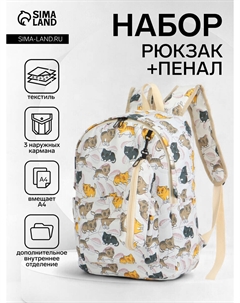 Набор: рюкзак школьный и пенал, с карманами, с принтом, размер 29×12×41 см, белый/разноцветный Nobrand