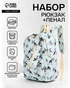 Набор: рюкзак школьный и пенал, с карманами, с принтом, размер 29×12×41 см, голубой Nobrand