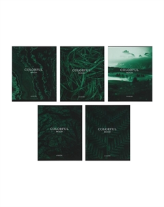 Набор тетрадей, 48 листов в клетку Calligrata