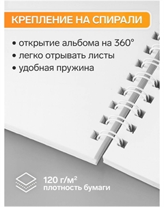 Альбом для рисования а4, 40 листов на гребне Calligrata
