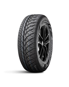 Шины 255/50 R18 Apex Racing 106H Doublestar