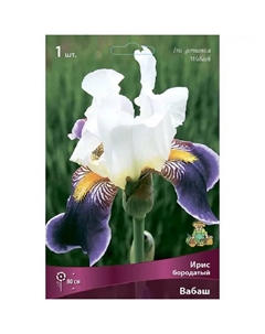 Ирис бородатый Вабаш Поиск