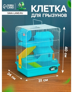 Клетка для грызунов Пижон