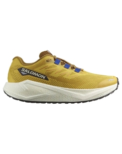 Кроссовки Aero Blaze 3 GRVL, желтый Salomon