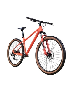 Велосипед горный Hunter 29.2 HD 2025, оранжевый матовый/грозовой, HQ-0017891 (Рама: L(19)) Stark
