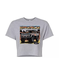 Футболка с коротким рукавом Ford Bronco Desert для подростков, серый Licensed character