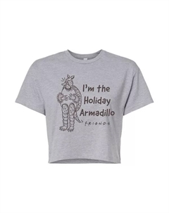 Детский укороченный топ Holiday Armadillo с принтом друзей, серый Licensed character