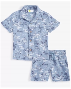 Комплект для мальчиков 2T-4T: рубашка с коротким рукавом и шорты с принтом, Scenic, синий Epic threads