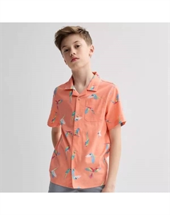 Мальчиковая короткорукавная рубашка из поплина на пуговицах, размеры 8-20, обычная и свободная, цвет parrot print peach Sonoma goods for life