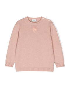 Свитер с вышивкой Pegaso, розовый Etro kids