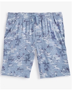 Шорты для мальчиков Little & Big с принтом, синий Epic threads