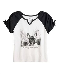 Футболка с коротким рукавом реглан с рисунком для девочек 7-20 лет, стандартные и большие размеры, цвет dog sweden city So