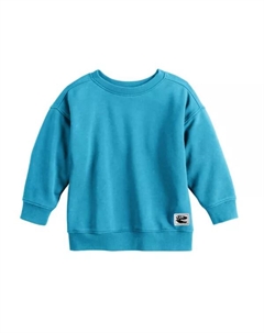 Толстовка свободного кроя из французского трикотажа с круглым вырезом для малышей и мальчиков постарше, цвет gypsy blue Jumping beans