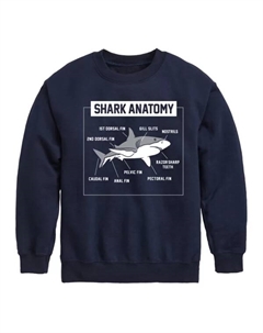Флисовая толстовка с изображением анатомии акулы для мальчиков 8-20 лет, синий Licensed character