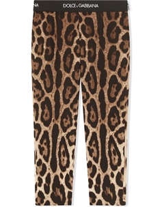 Леггинсы с леопардовым принтом, коричневый Dolce & gabbana kids