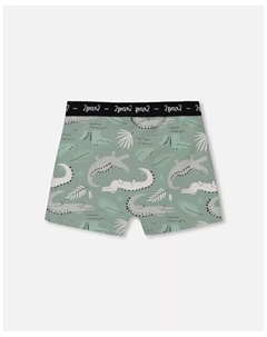 Боксеры для мальчиков из хлопка с принтом, светло-шалфейные и серые с крокодилом - Toddler|Child, зеленый Deux par deux