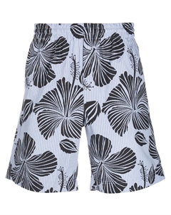 Шорты-бермуды с принтом, синий Msgm