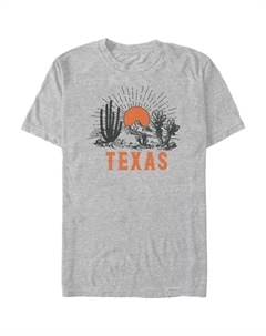 Футболка с принтом "Техасская пустыня" для больших размеров, серый Unbranded