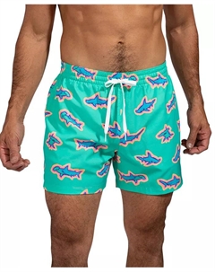 Мужские плавки The Apex Swimmers Quick-Dry 5-1/2" с быстрой сушкой, зеленый Chubbies