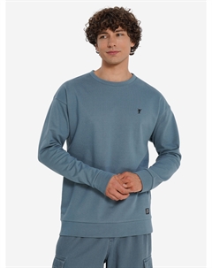 Свитшот мужской, Серый Termit