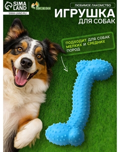 Игрушка жевательная Пижон