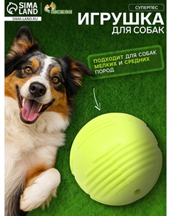 Мяч рифленый Пижон