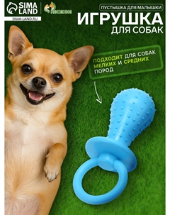 Игрушка жевательная Пижон