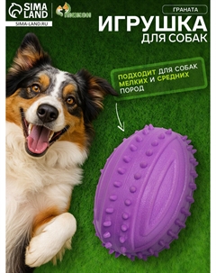 Игрушка жевательная Пижон