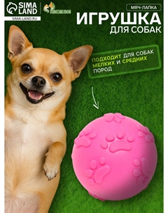 Игрушка Пижон