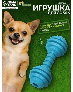 Игрушка жевательная Пижон